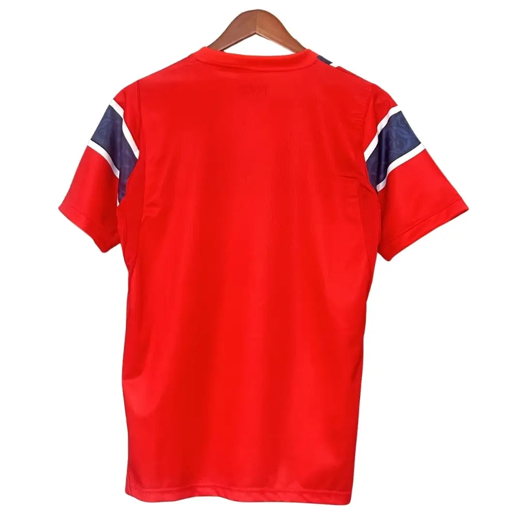 Camiseta de fútbol de la selección noruega de local de Ødegaard #10 Mundial 2026