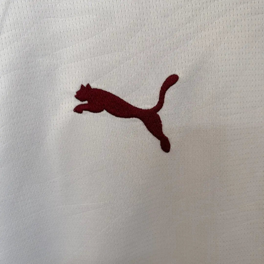 Camiseta de fútbol de visitante del Fluminense FC 2026/27