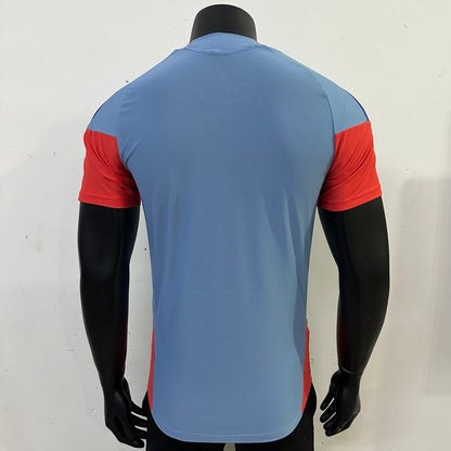Camiseta de fútbol de entrenamiento de la Copa Mundial de Japón 2026 (versión de jugador)