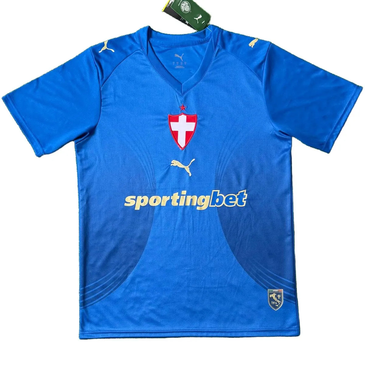 Maillot de football SE Palmeiras extérieur 2026/27