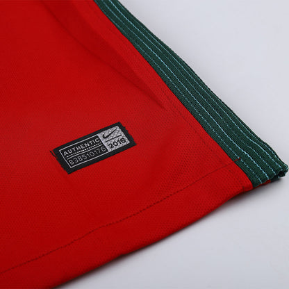 Camiseta retro de fútbol de Portugal 2016 (local)