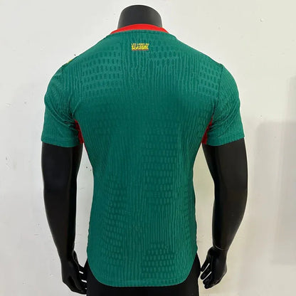 Senegal World Cup 2026 Player Version Away Soccer Jersey